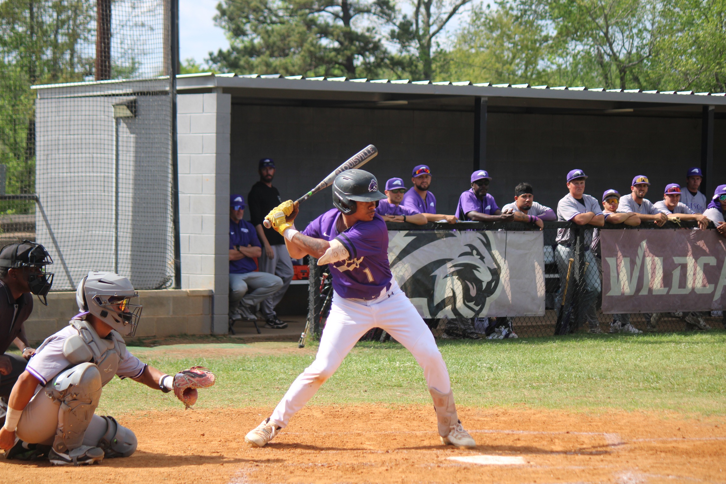 Deekota Johnson went 2-for-3 with a double, triple and three RBI.